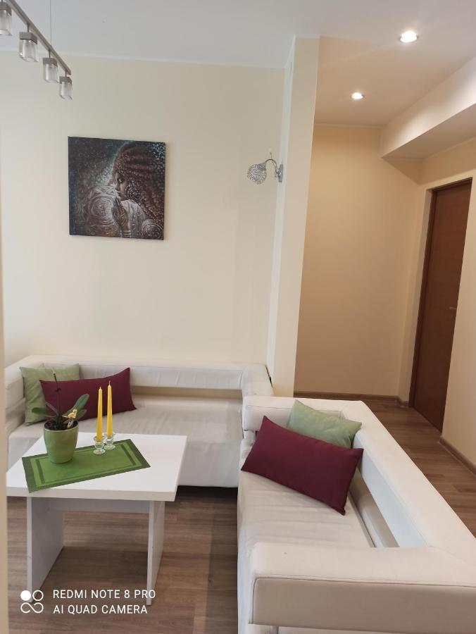 Nelli Apartamentai Druskininkai Bagian luar foto