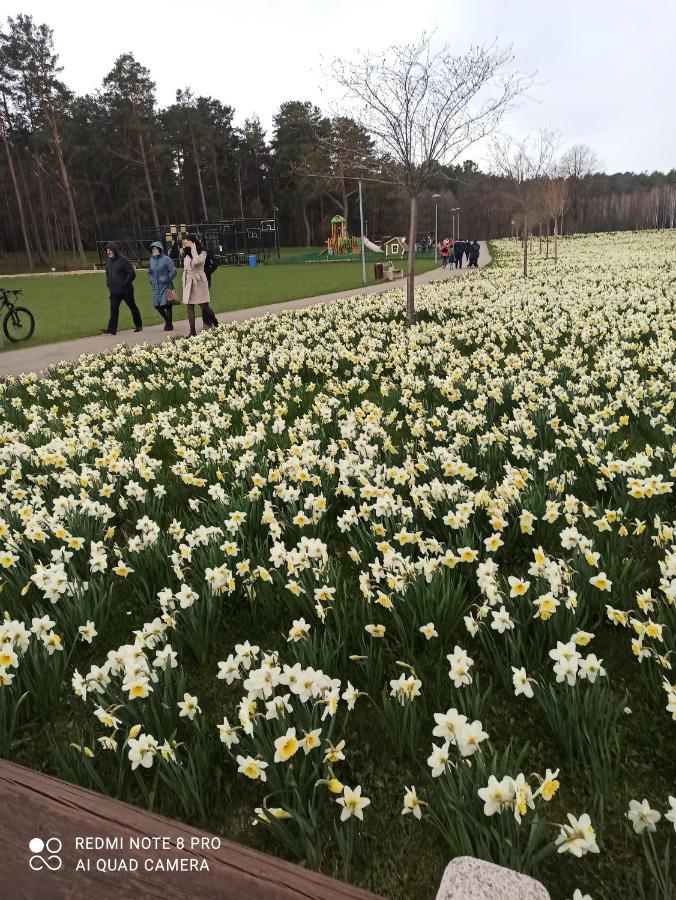 Nelli Apartamentai Druskininkai Bagian luar foto