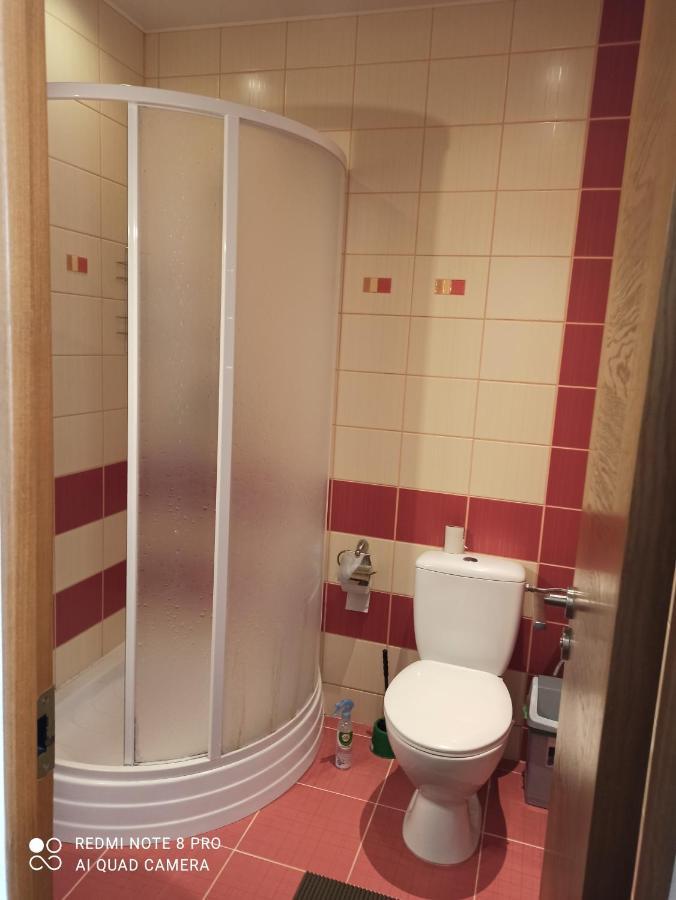 Nelli Apartamentai Druskininkai Bagian luar foto